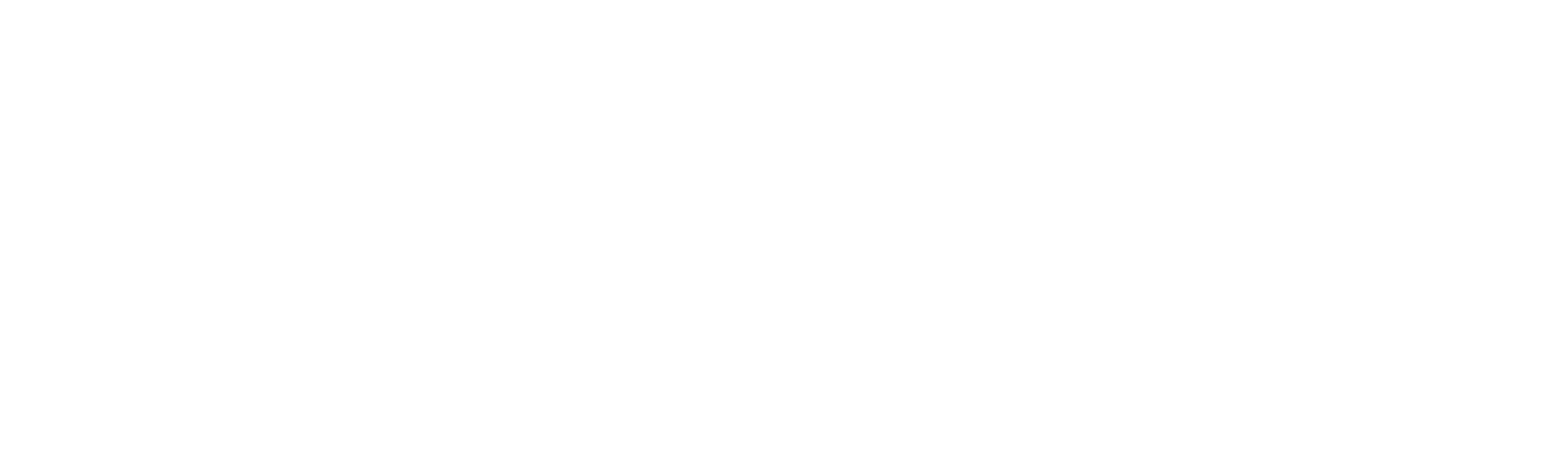 Schroeder Investment Partners Inc.
